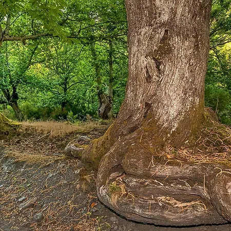 Σπίτι διακοπών Casa Do Concello *