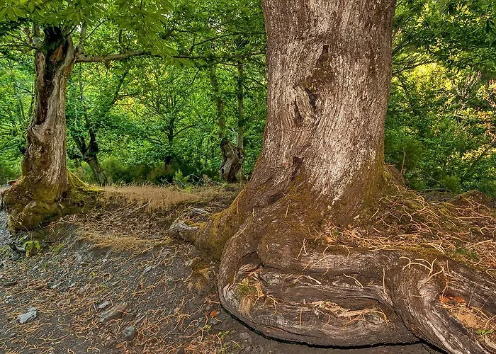 بيت للعطل Casa Do Concello *