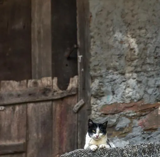 بيت للعطل Casa Do Concello Arnado